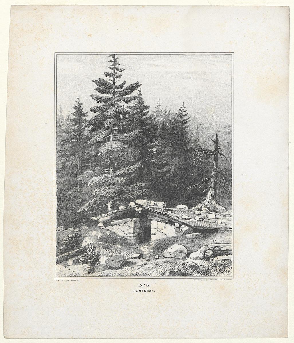 1982.0094.002 Print