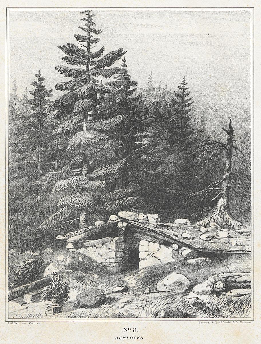 1982.0094.002 Print, View 2