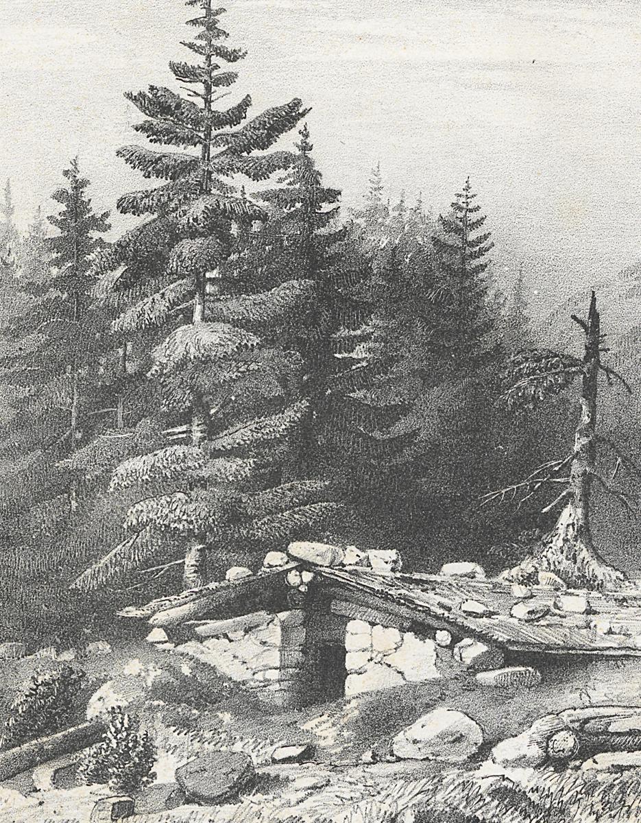 1982.0094.002 Print, Detail