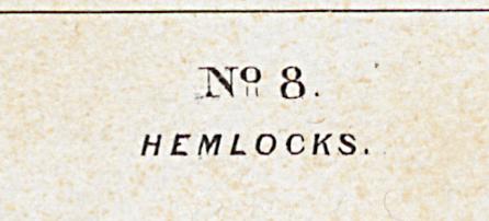 1982.0094.002 Print, Detail 3
