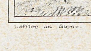 1982.0094.002 Print, Detail 4