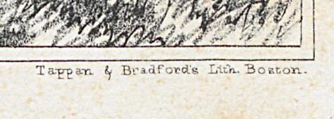 1982.0094.002 Print, Detail 5