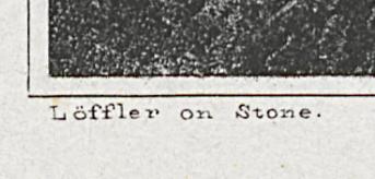 1982.0094.003 Print, Detail 4