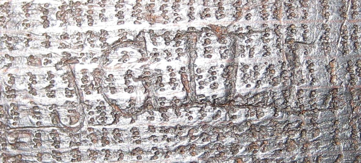 1982.0216 A (mark) Lock