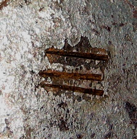1982.0234 (inscription) Plate Latch