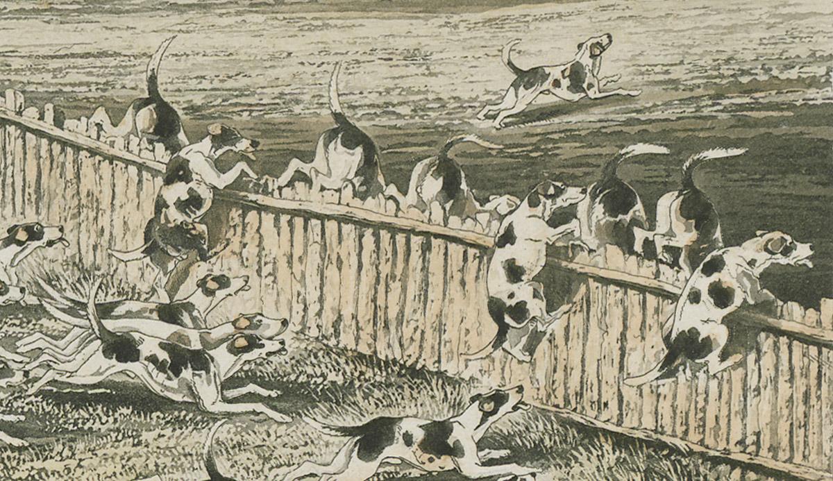 1982.0316.001 Print, detail 6