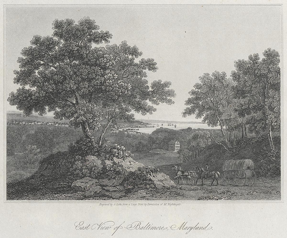 1983.0015 Print, View 2