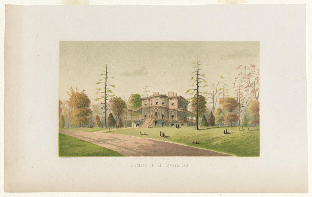 1983.0076 Print