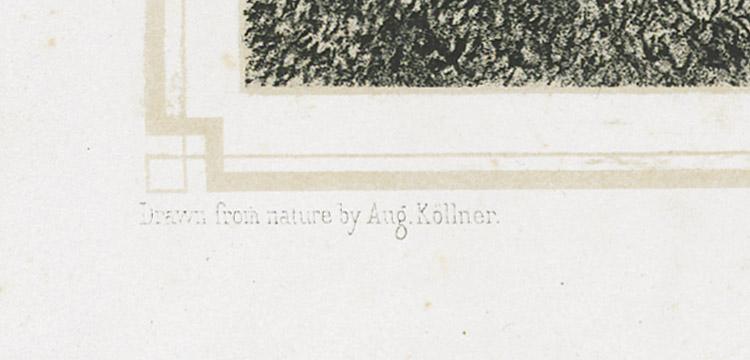 1983.0078 Print, detail 4