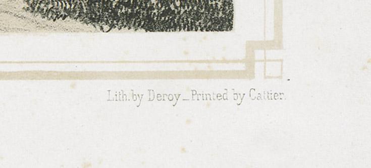 1983.0078 Print, detail 5