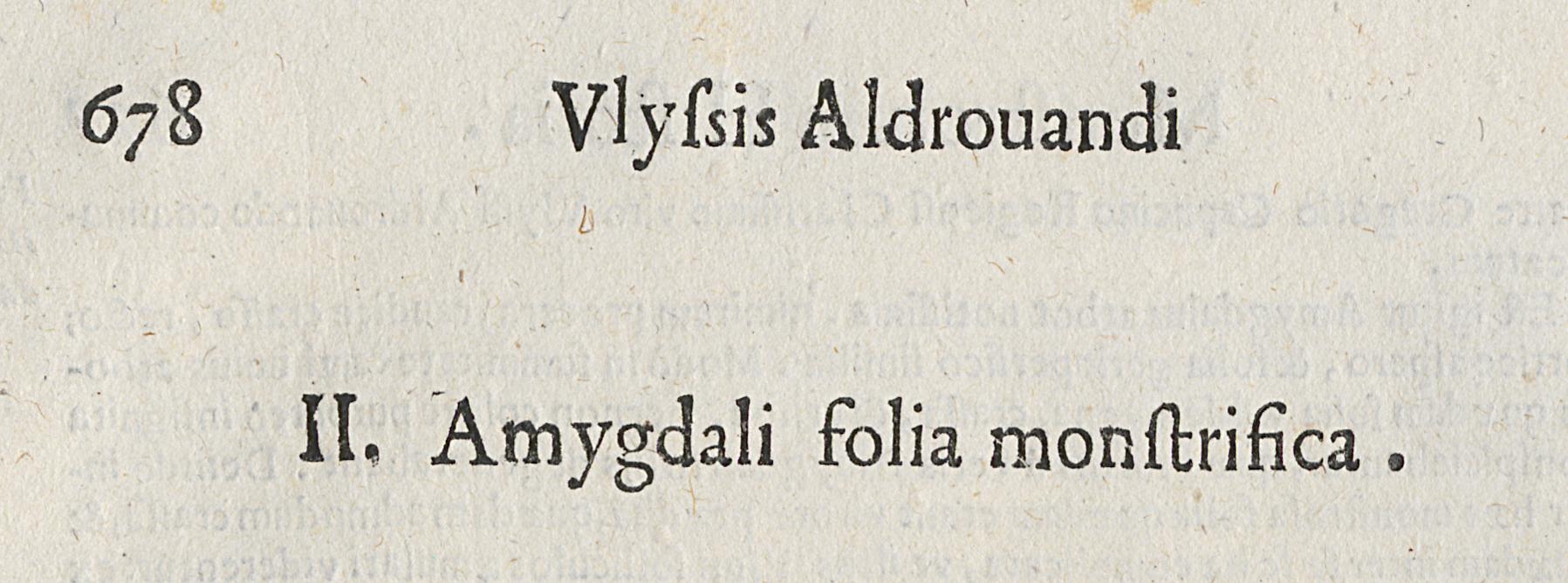 1983.0082.001 Print, Detail 2