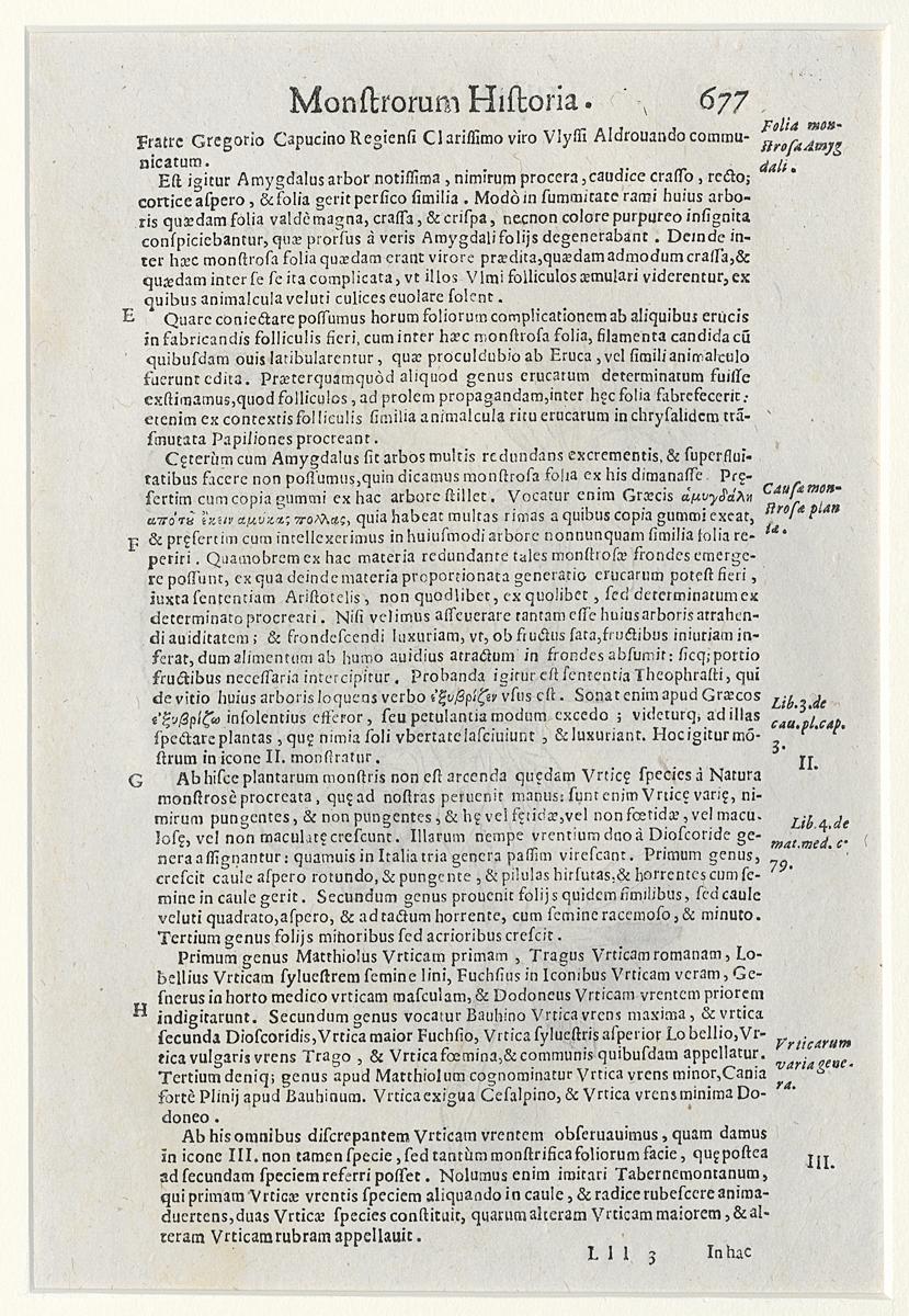 1983.0082.001 Print, Verso