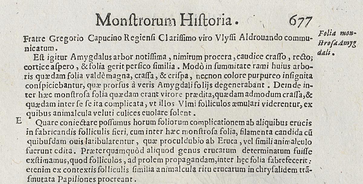 1983.0082.001 Print, Verso Detail