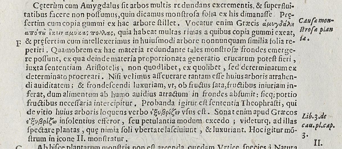 1983.0082.001 Print, Verso Detail 2