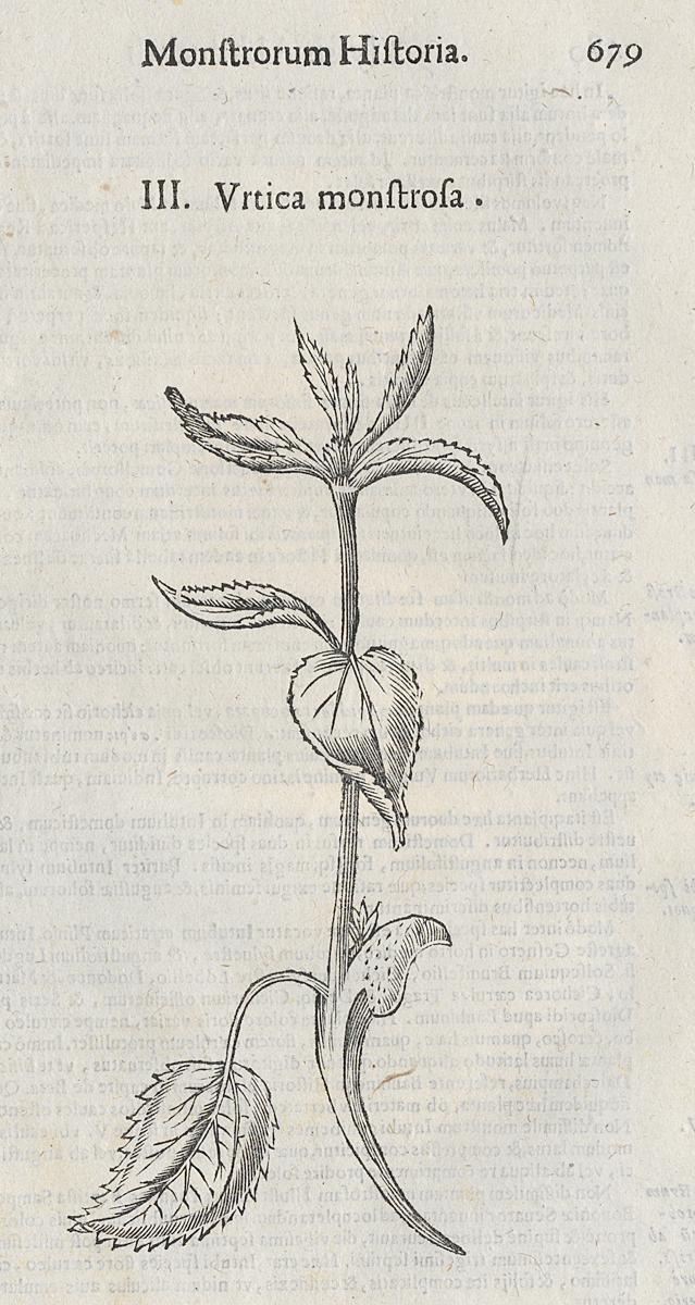 1983.0082.002 Print, View 2