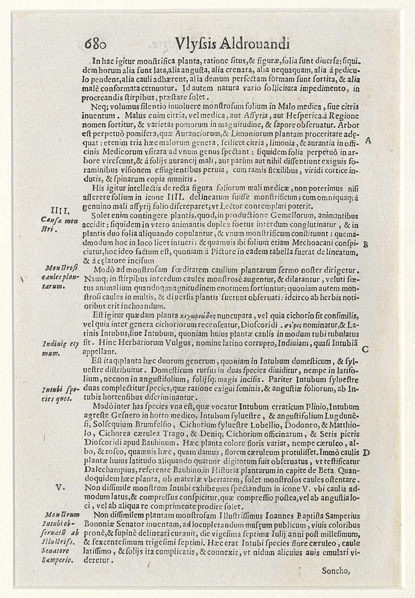 1983.0082.002 Print, Verso