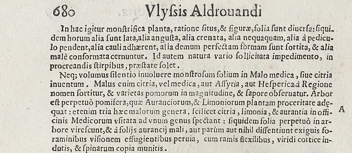 1983.0082.002 Print, Verso Detail