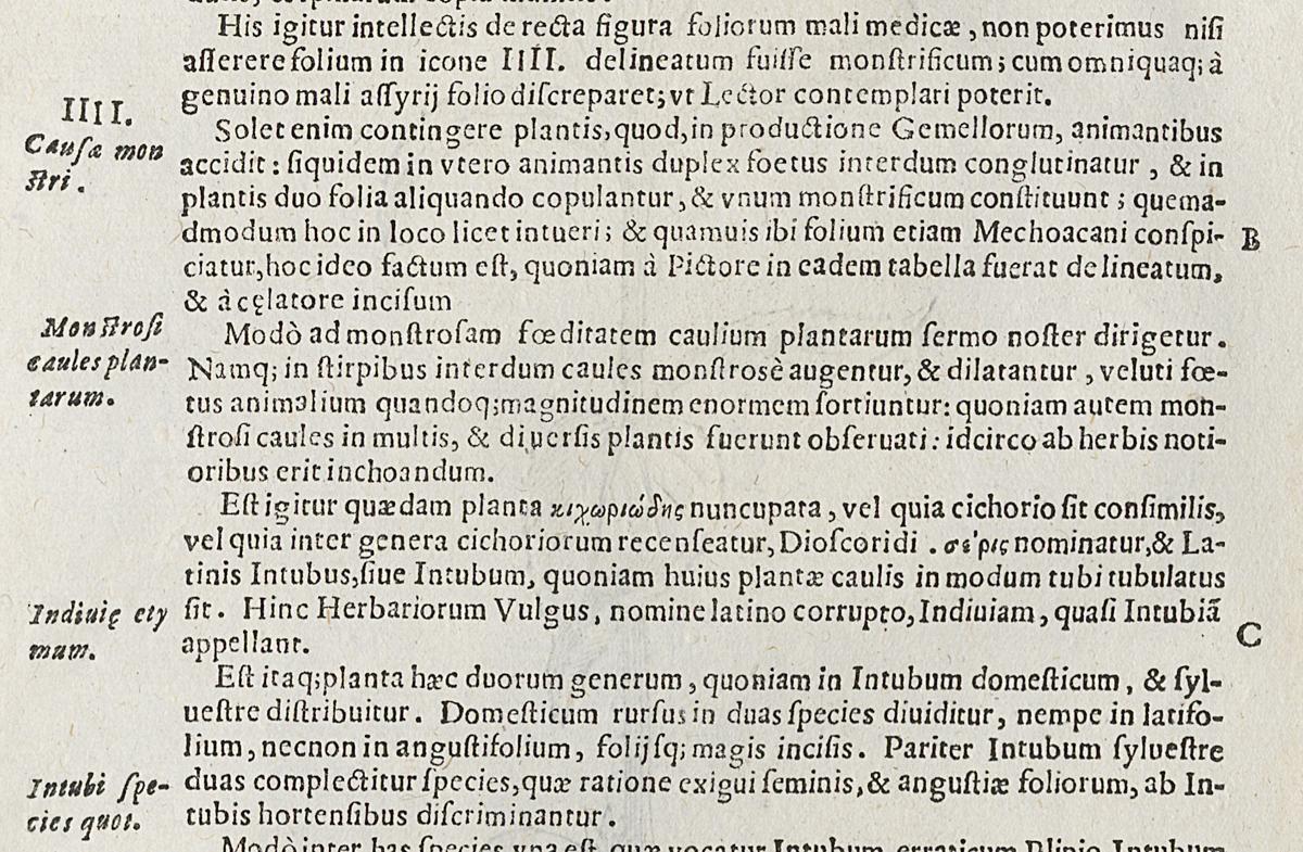 1983.0082.002 Print, Verso Detail 2