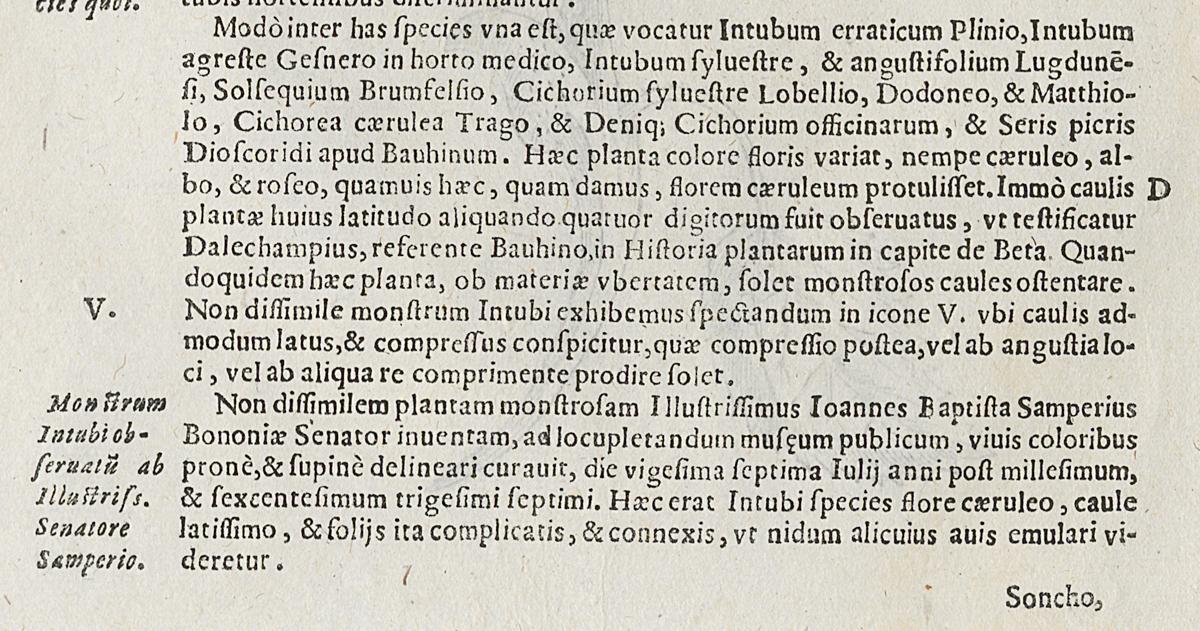 1983.0082.002 Print, Verso Detail 3