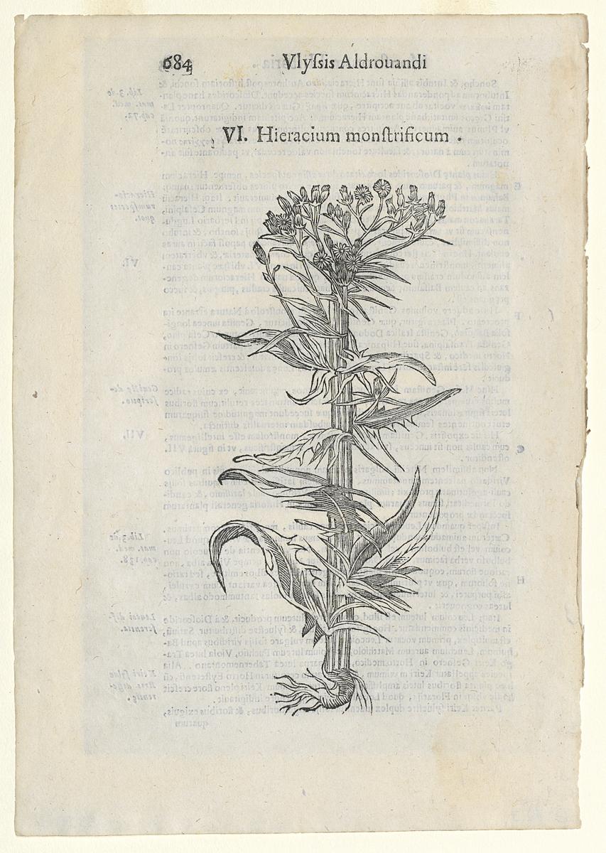1983.0082.003 Print