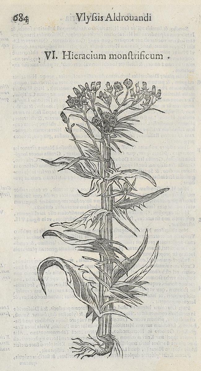 1983.0082.003 Print, View 2