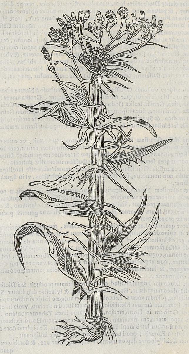 1983.0082.003 Print, Detail