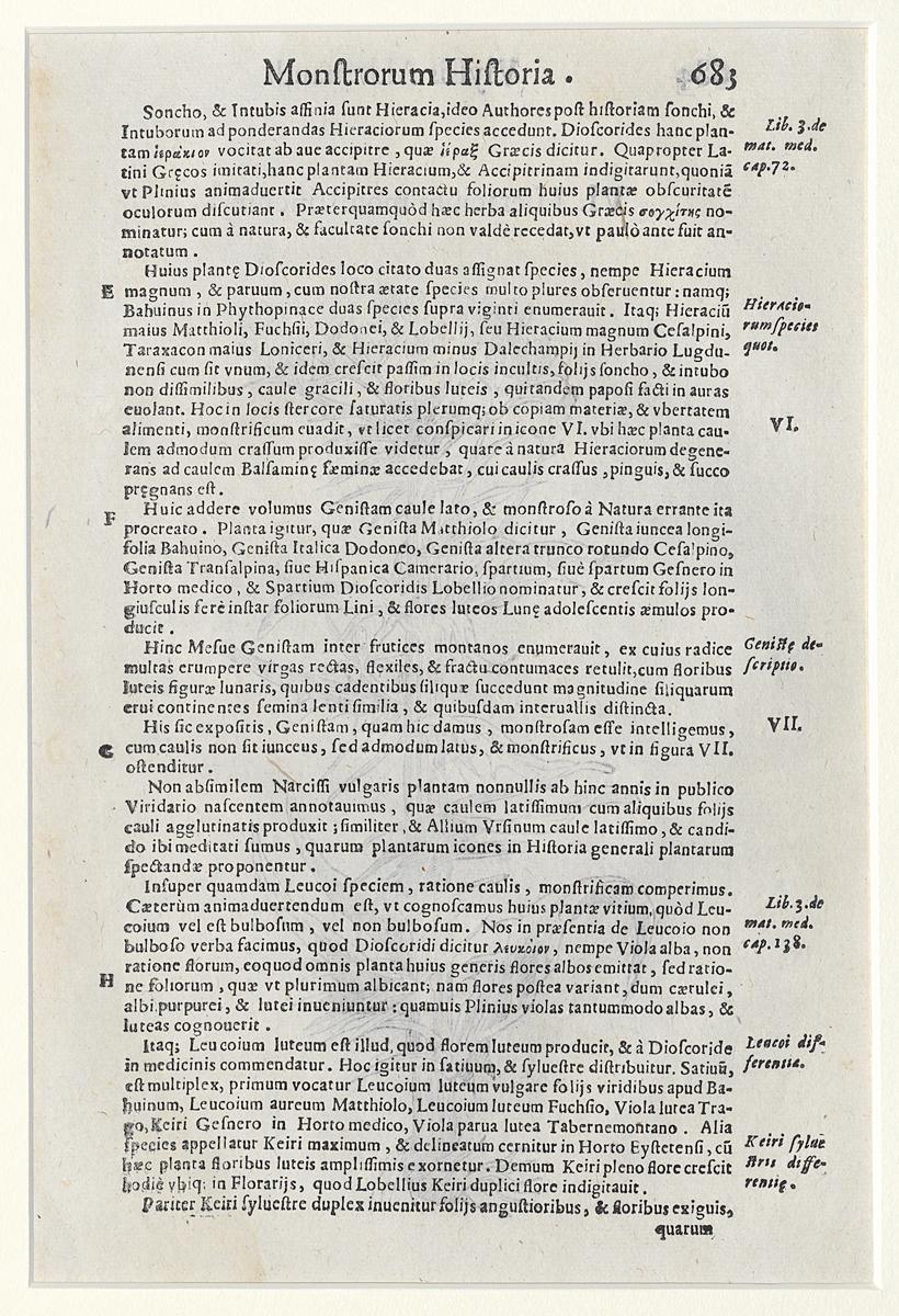 1983.0082.003 Print, Verso