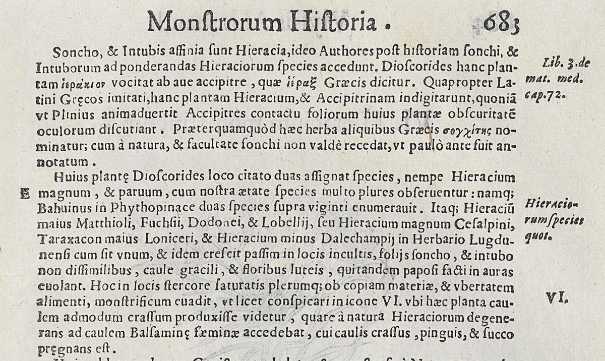 1983.0082.003 Print, Verso Detail