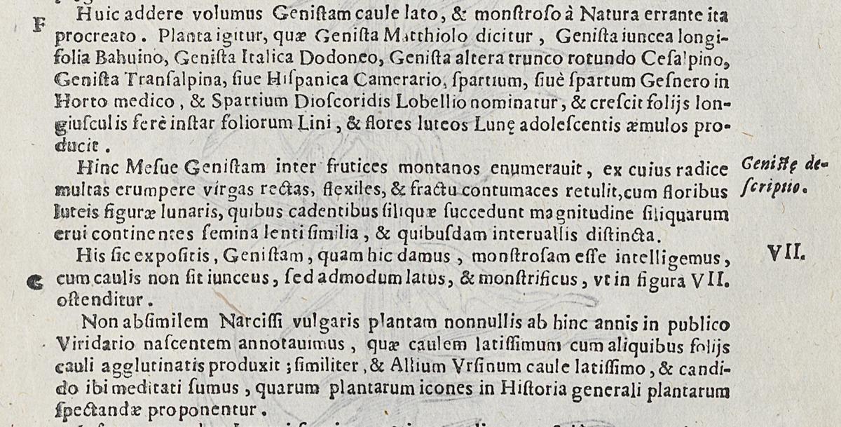 1983.0082.003 Print, Verso Detail 2