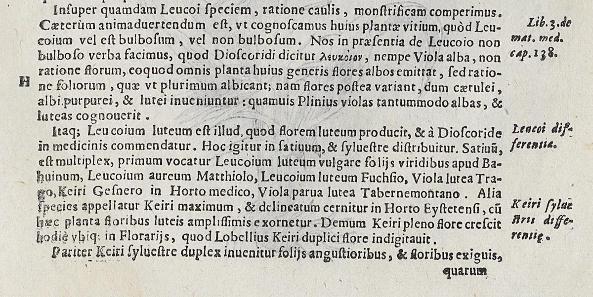 1983.0082.003 Print, Verso Detail 3