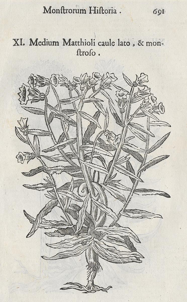 1983.0082.004 Print, View 2