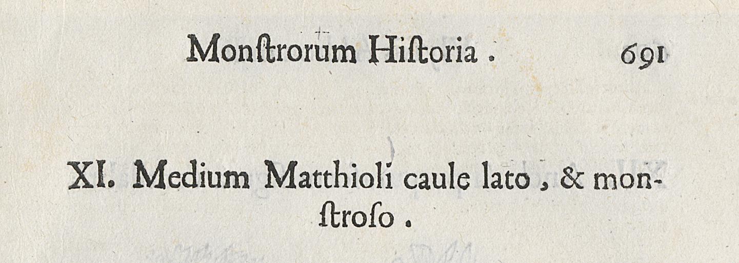 1983.0082.004 Print, Detail 2