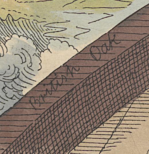 1983.0099 Print, Detail 8