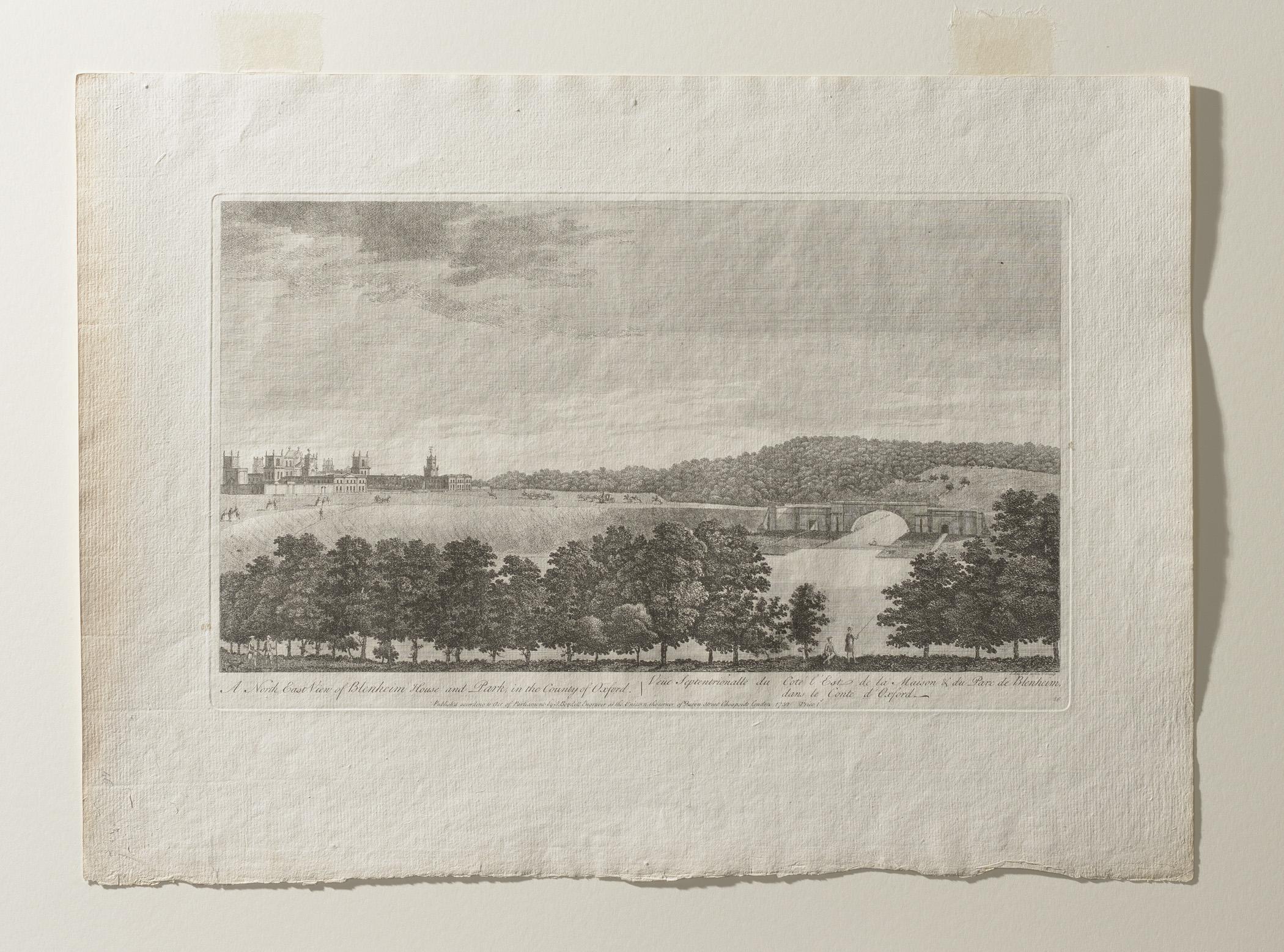1983.0102.003 Print, view 2, raking light