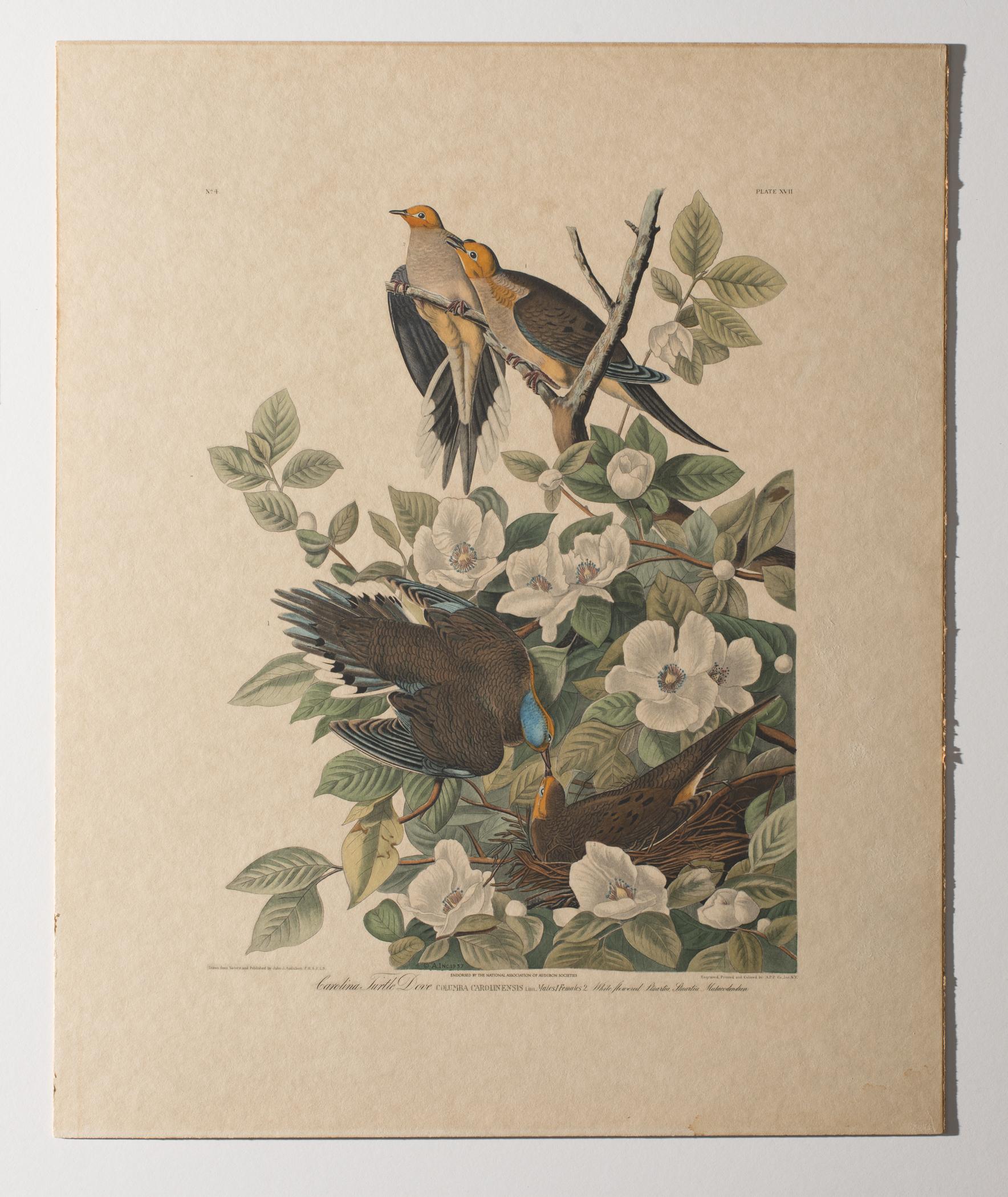 1983.0151 A Print, view 2, raking light