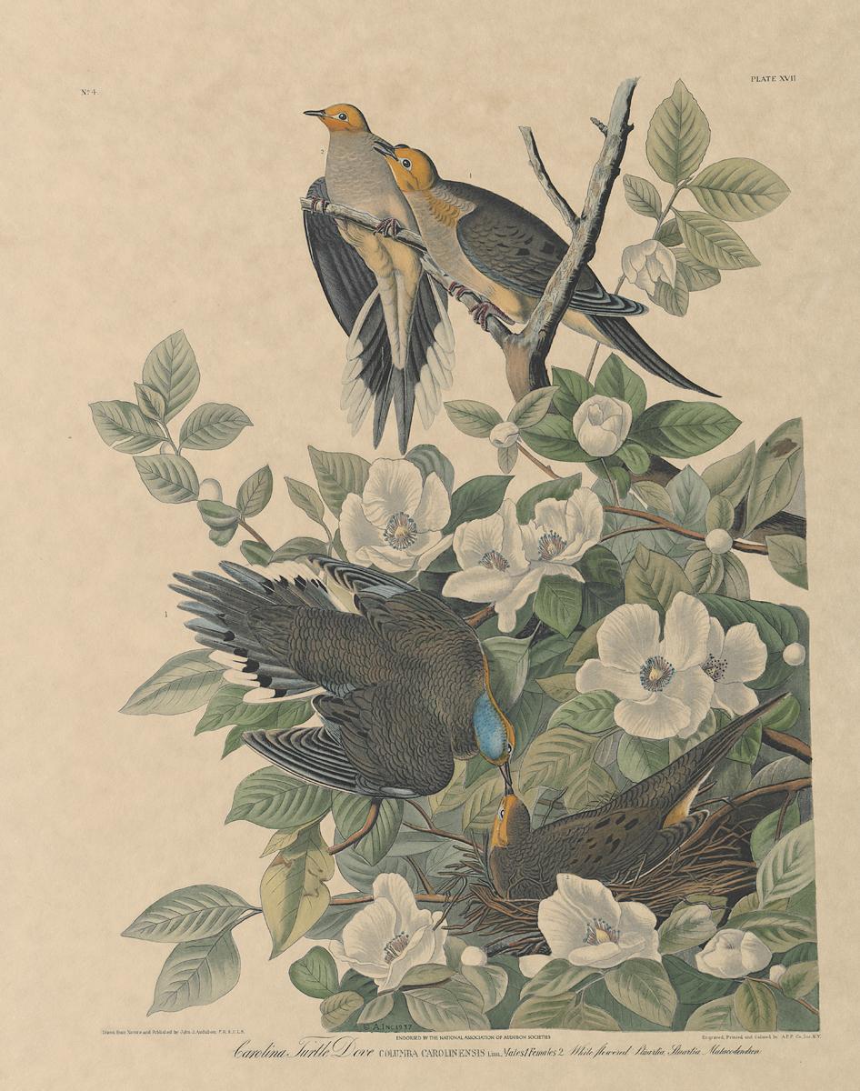 1983.0151 A Print, View 2