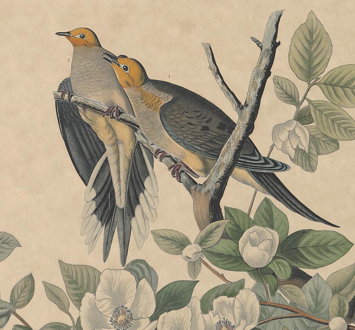 1983.0151 A Print, Detail