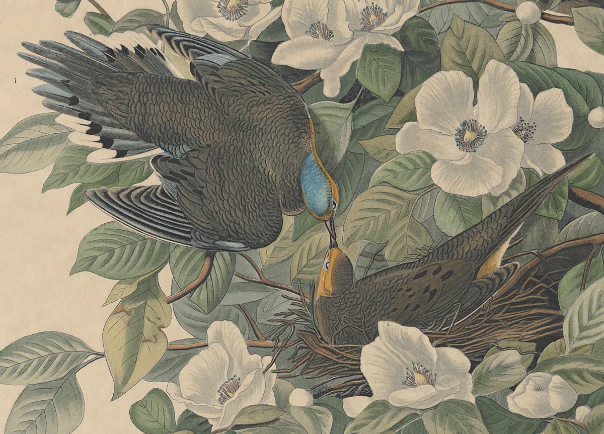 1983.0151 A Print, Detail 2
