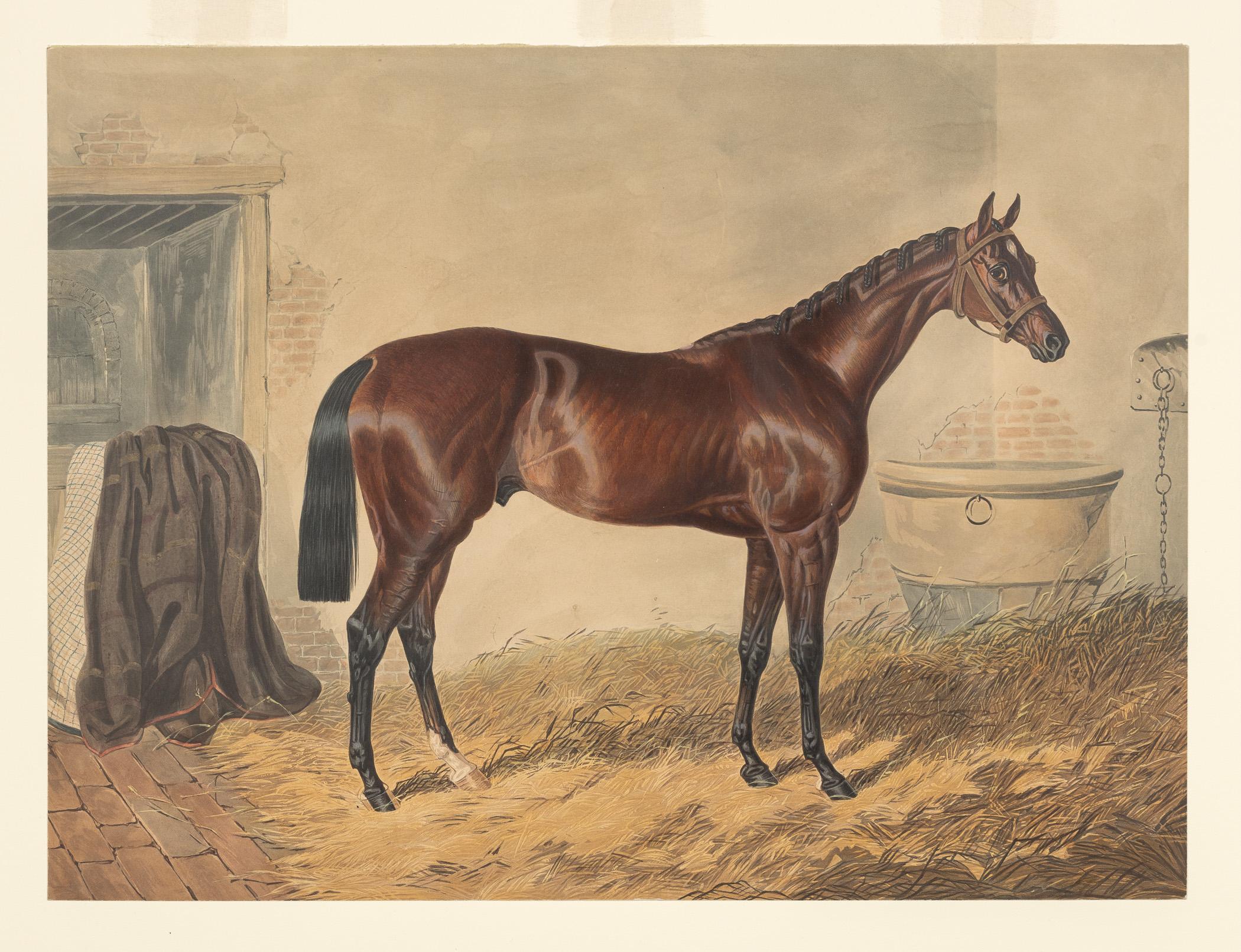 1983.0154.001 A Print, view 1