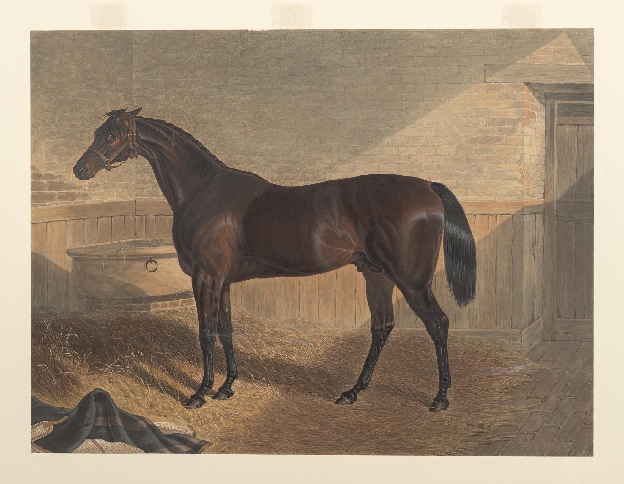 1983.0154.002 A Print, view 1