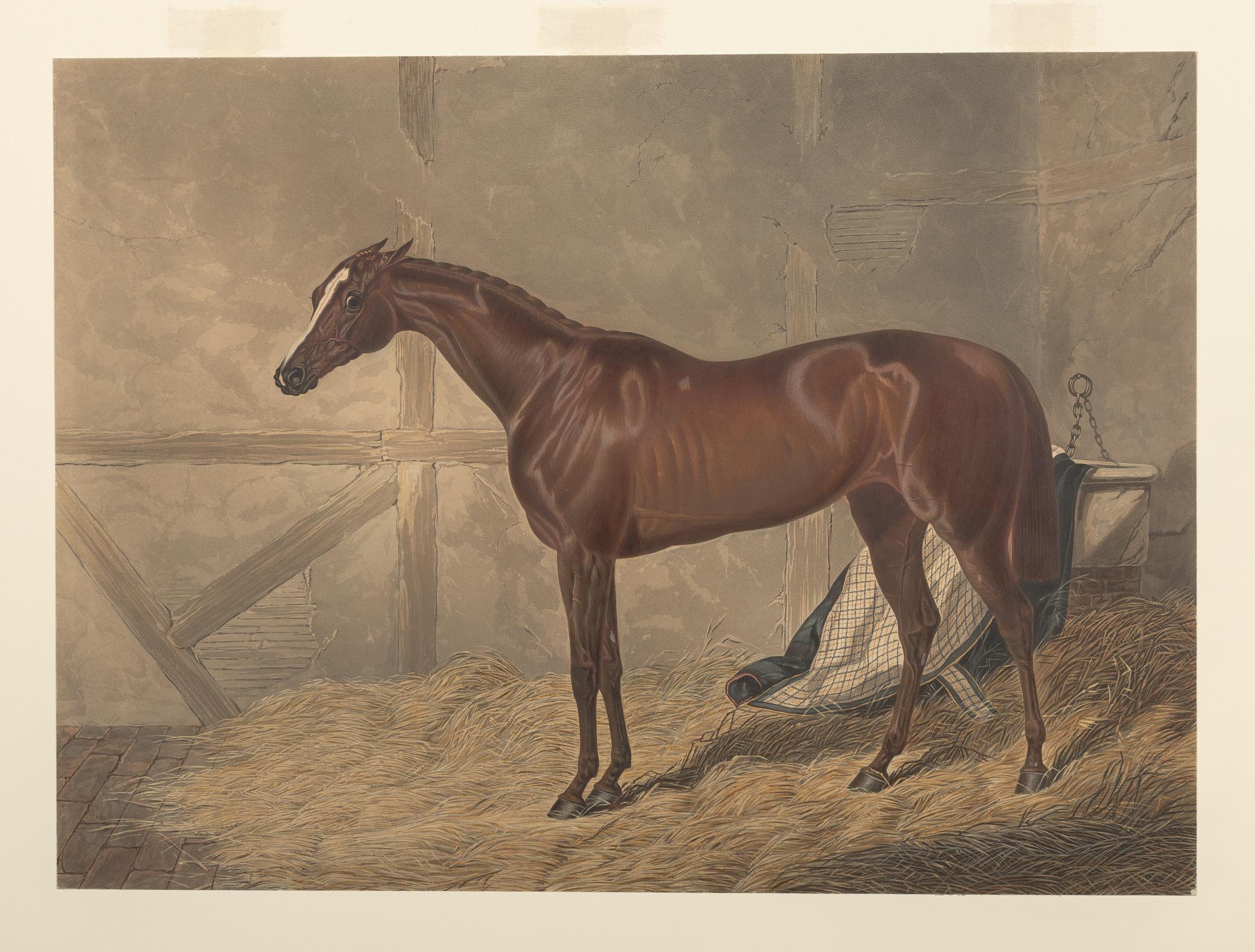 1983.0154.003 A Print, view 1