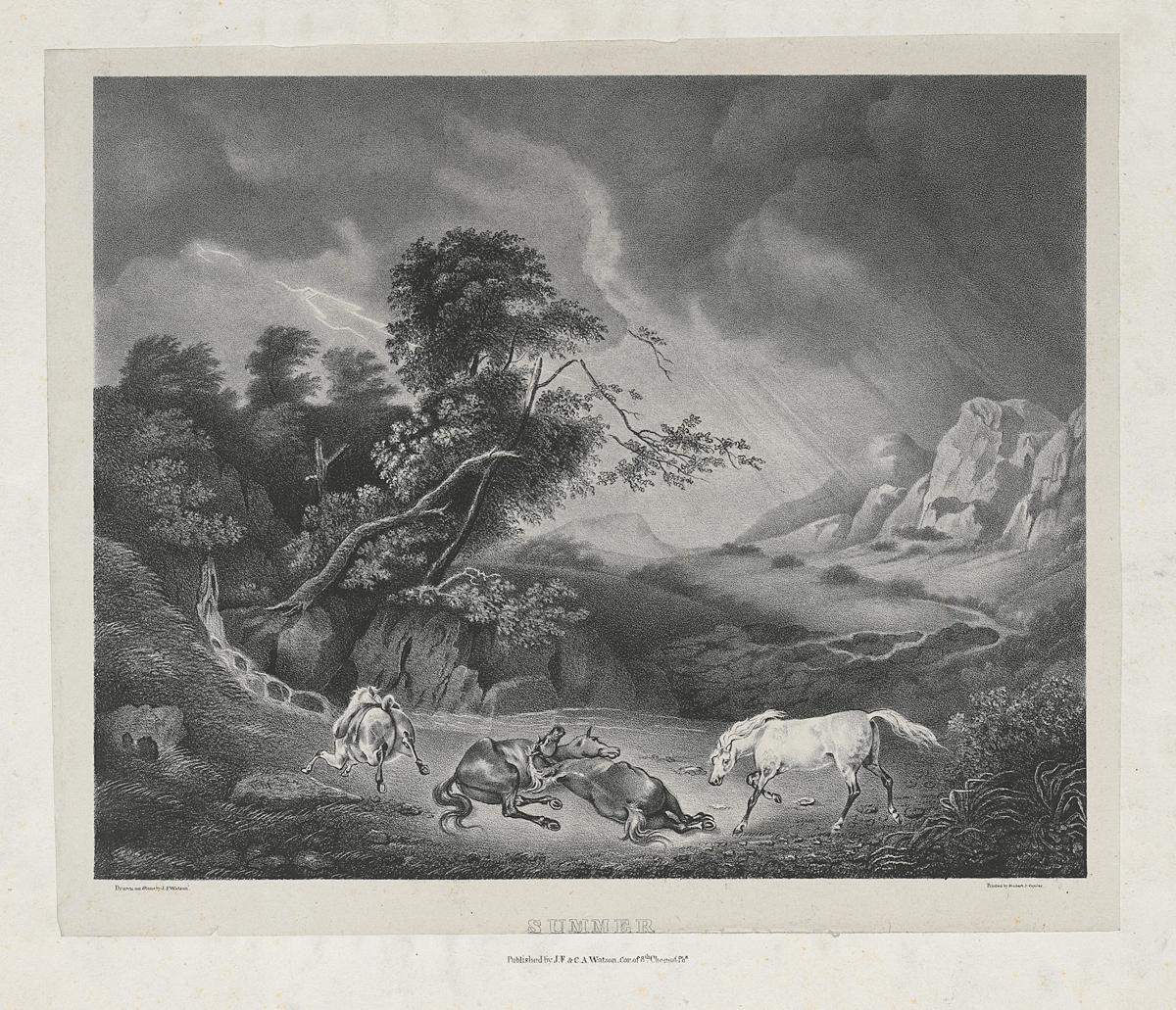 1983.0166 Print, View 2