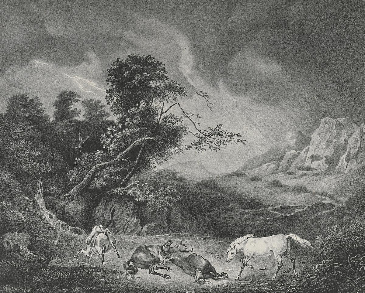 1983.0166 Print, Detail