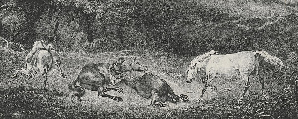 1983.0166 Print, Detail 2