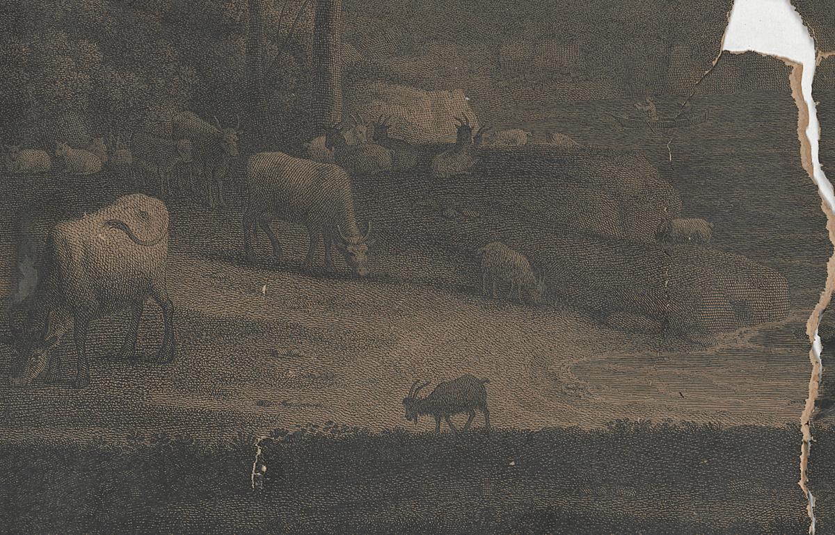 1983.0503 Print, Detail 7