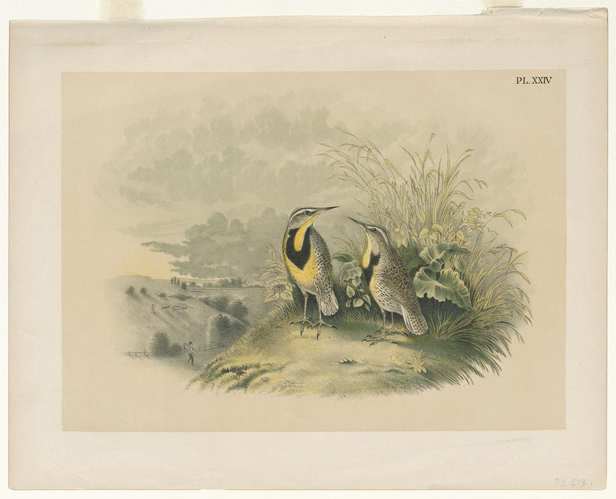 1983.0513.001 Print