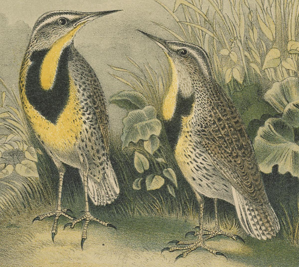 1983.0513.001 Print, detail 2