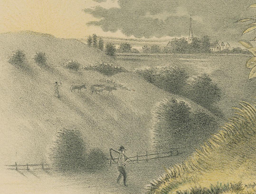 1983.0513.001 Print, detail 3