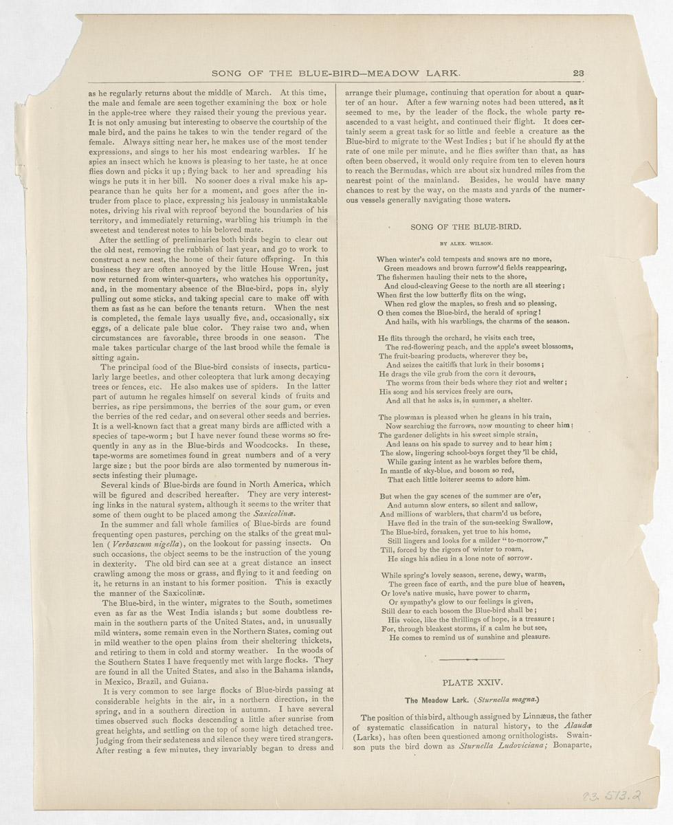 1983.0513.002 Print