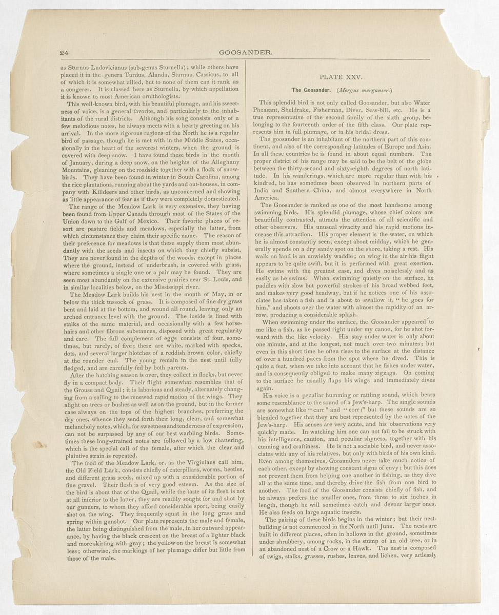 1983.0513.002 Print, reverse